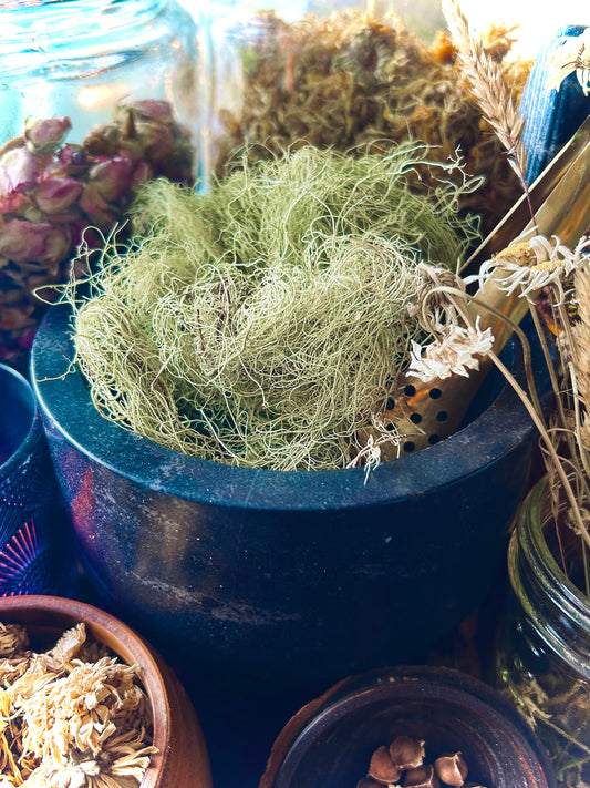 Usnea Lichen Whole