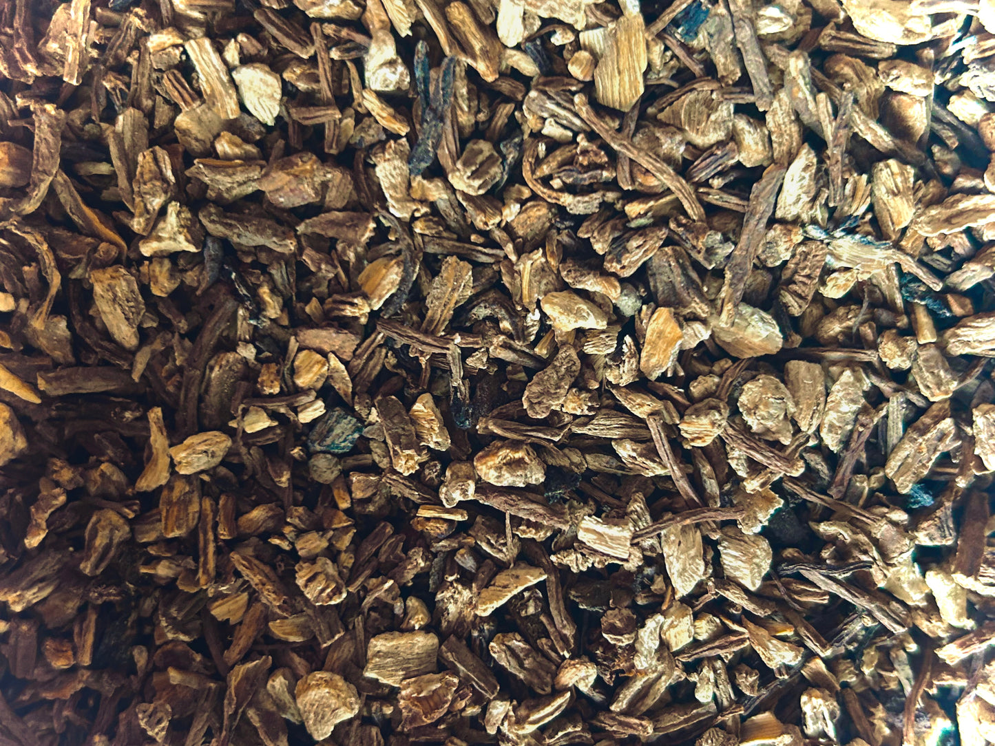 Echinacea Angustifolia Root, Organic