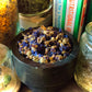 Blue Corn Flower