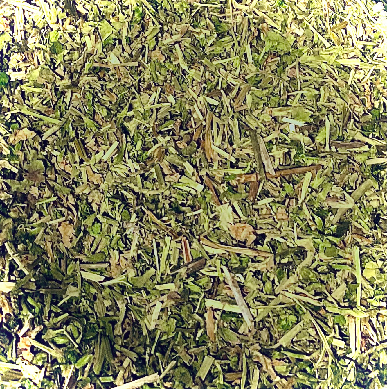 Chickweed (Stellaria Media)