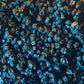 Elderberries, Organic (Sambucus nigra)