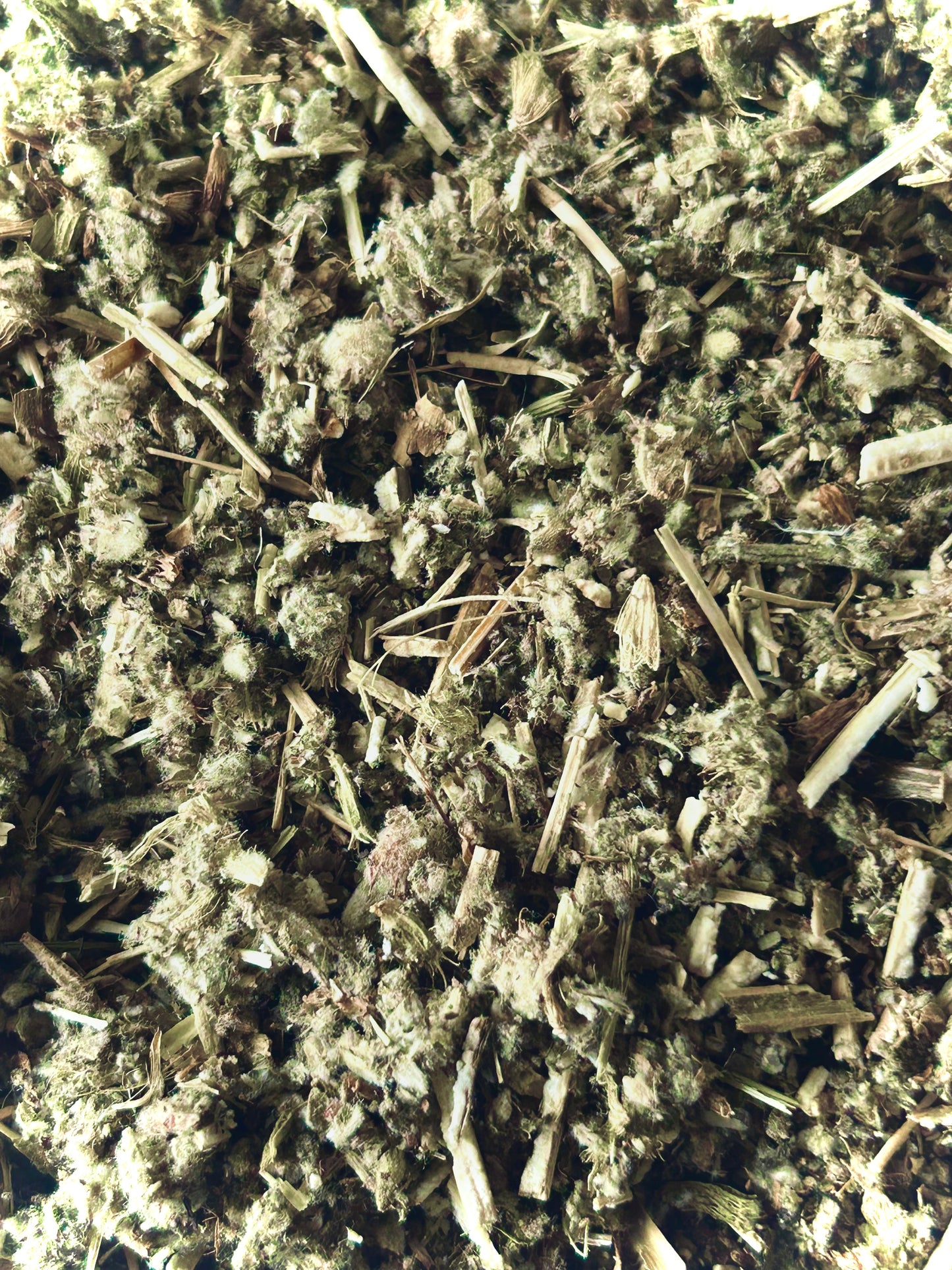 Horehound