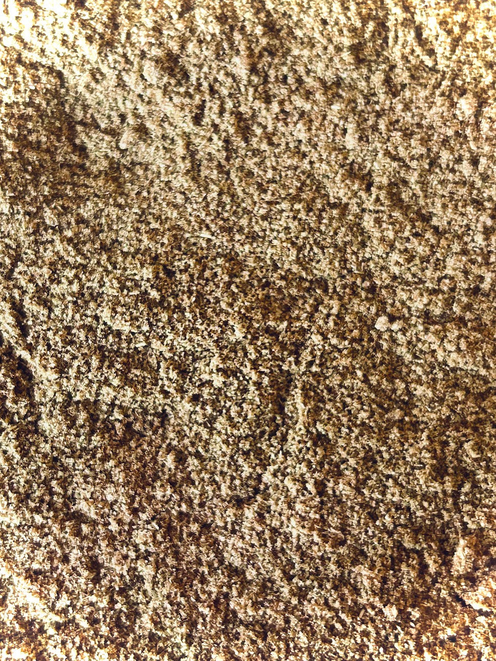 Cumin Seed Powder Organic