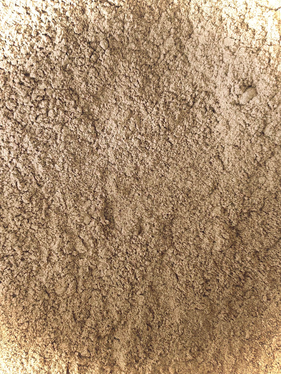 Date Powder Organic (Phoenix dactylifera)