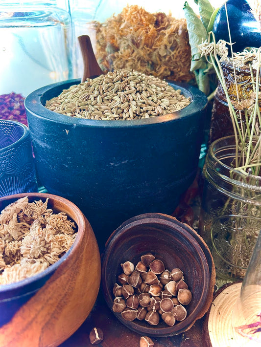 Fennel Seed (Foeniculum vulgare)