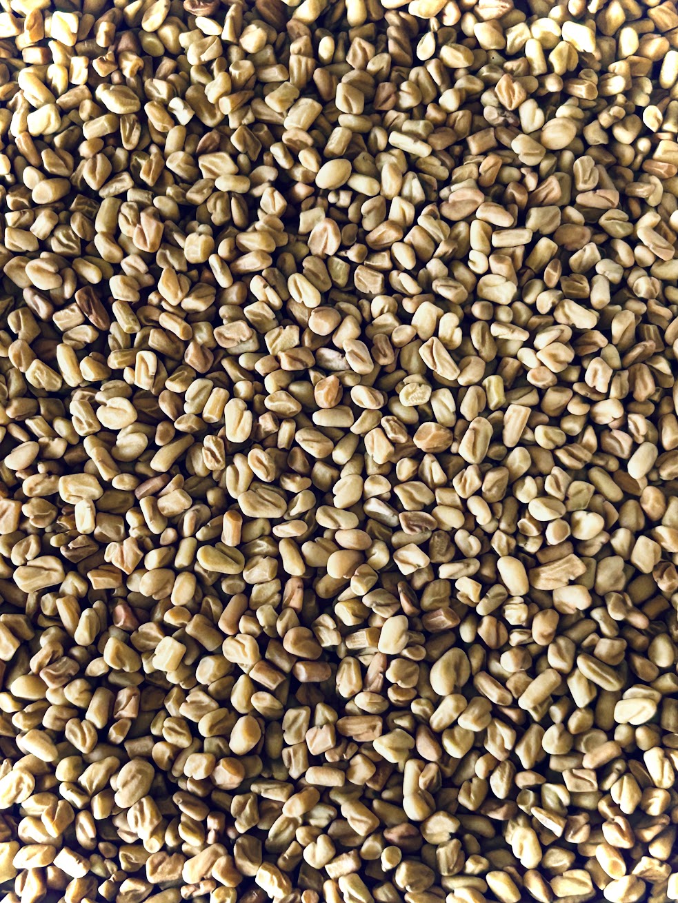 Fenugreek Seed Whole Organic