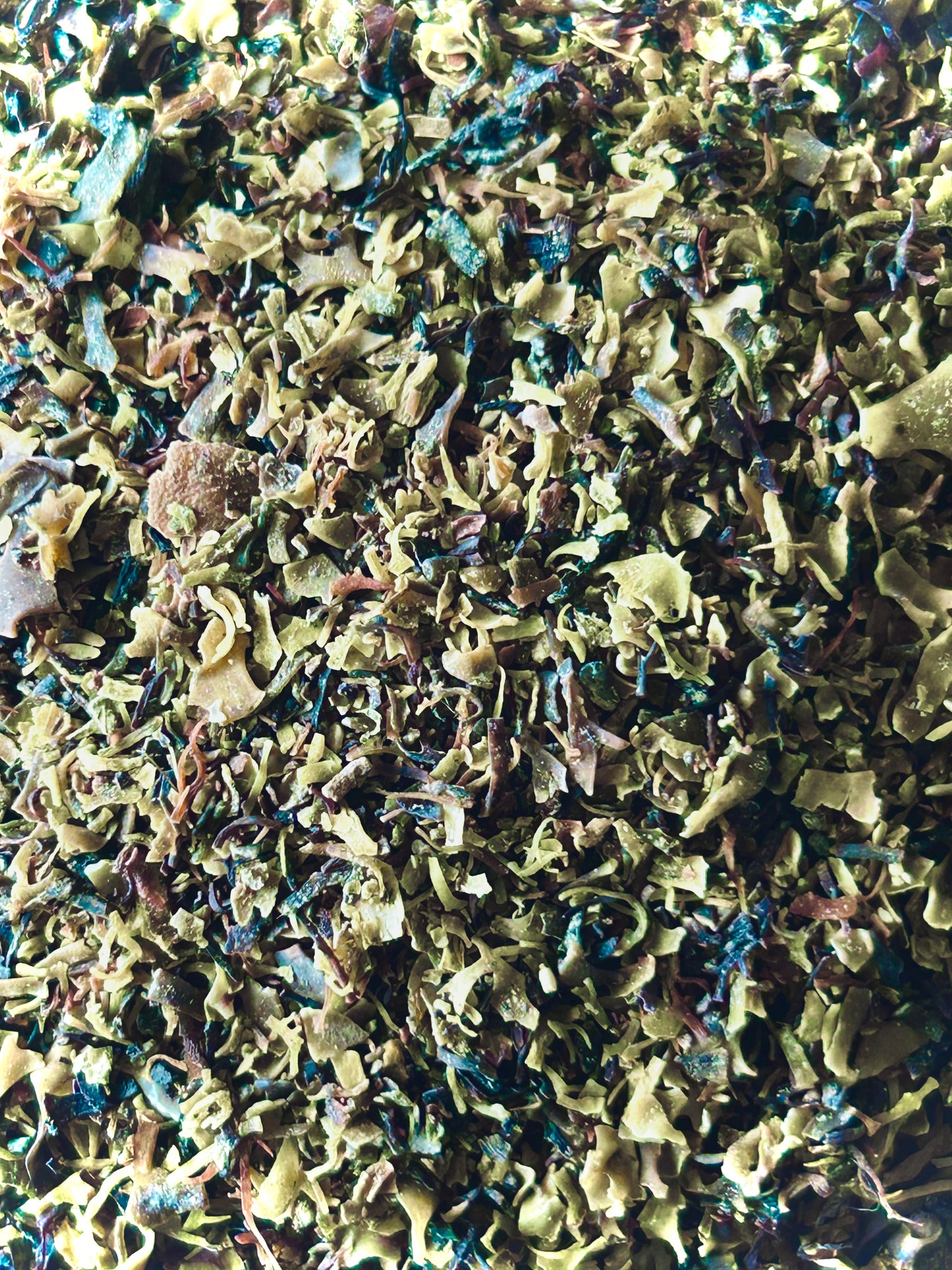 Irish Moss Organic (Chondrus crispus)