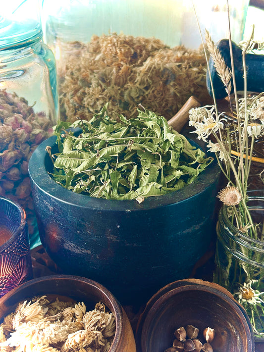 Lemon Verbena Herb