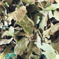 Linden Leaf & Flower