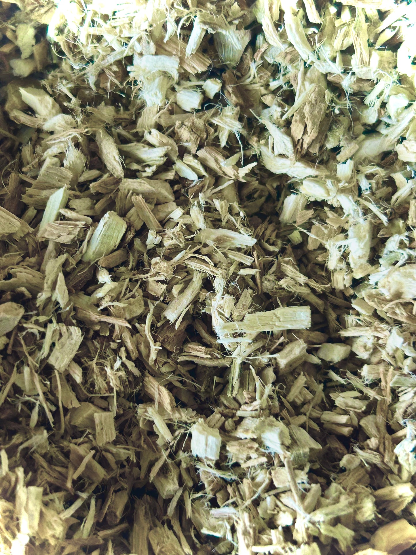 Marshmallow Root Organic (Althaea officinalis)