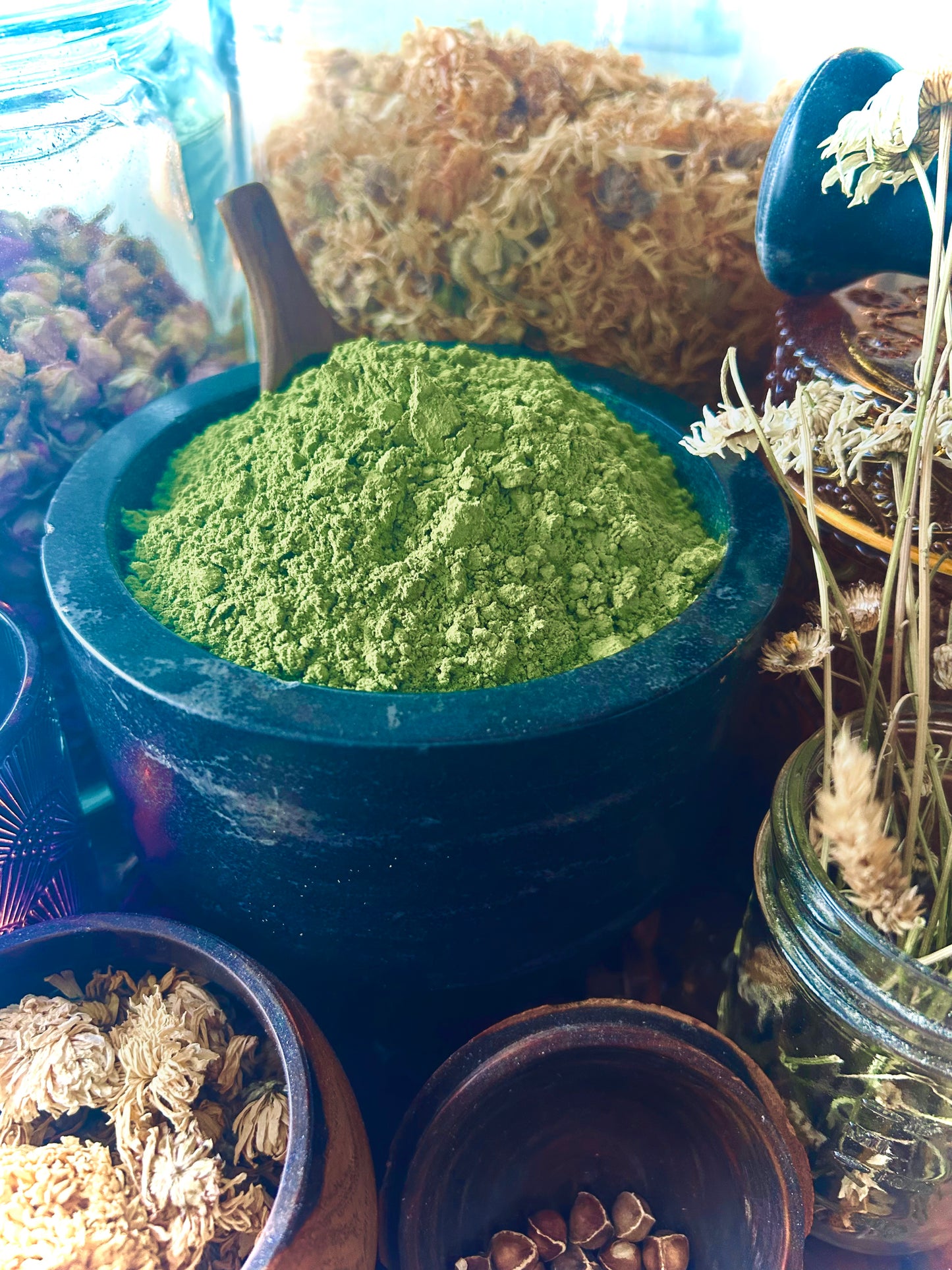 Matcha Powder (Camellia sinensis)