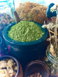 Matcha Powder (Camellia sinensis)