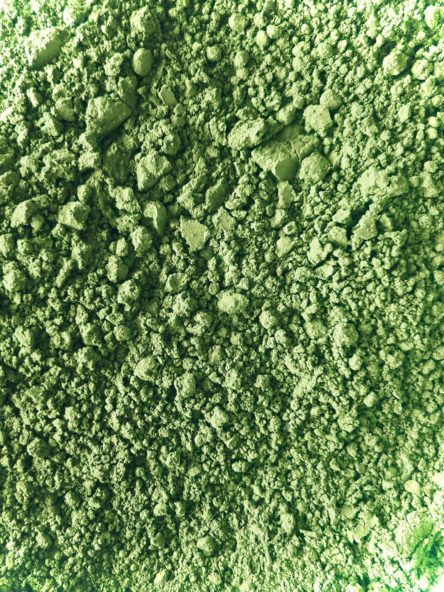 Matcha Powder (Camellia sinensis)