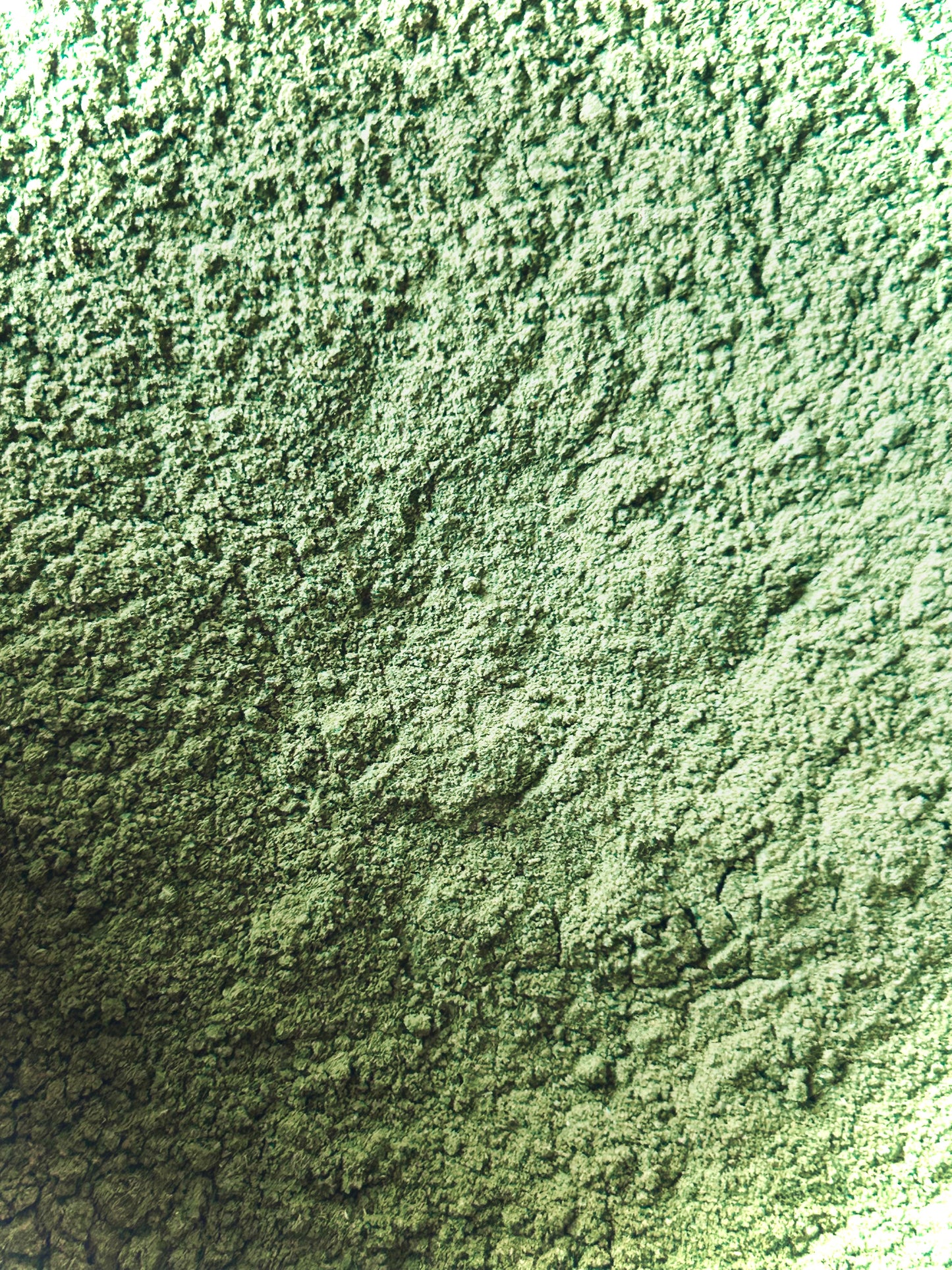 Neem Leaf Powder (Azadirachta indica)