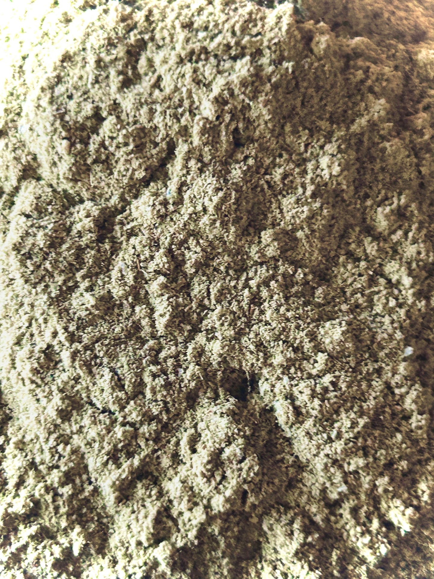 Olive Leaf Powder Organic (Olea europaea)