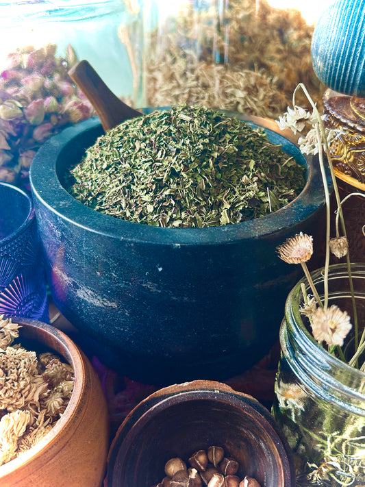 Peppermint Leaf (Mentha × piperita)