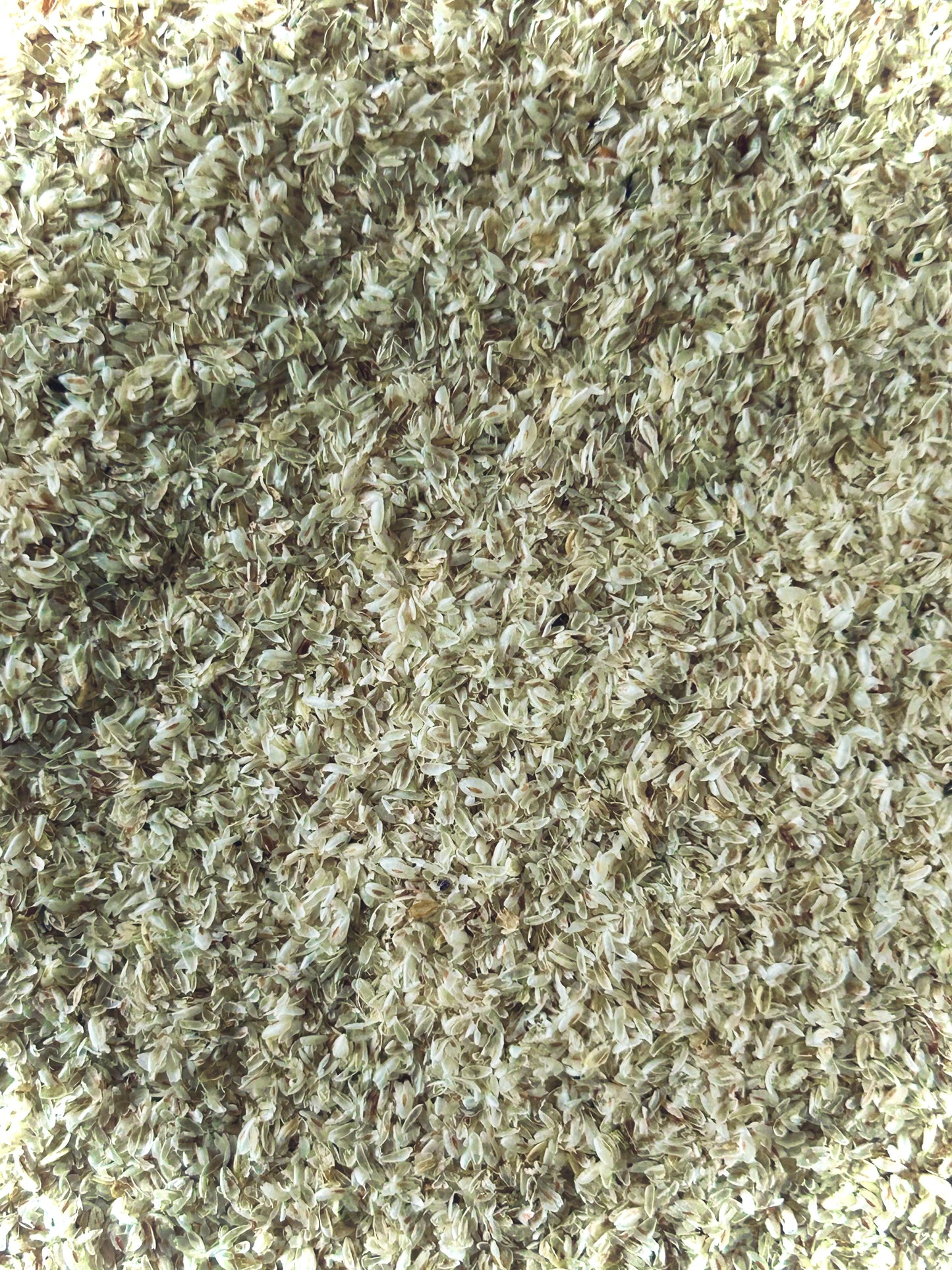 Psyllium Husk Whole (Plantago Ovata)