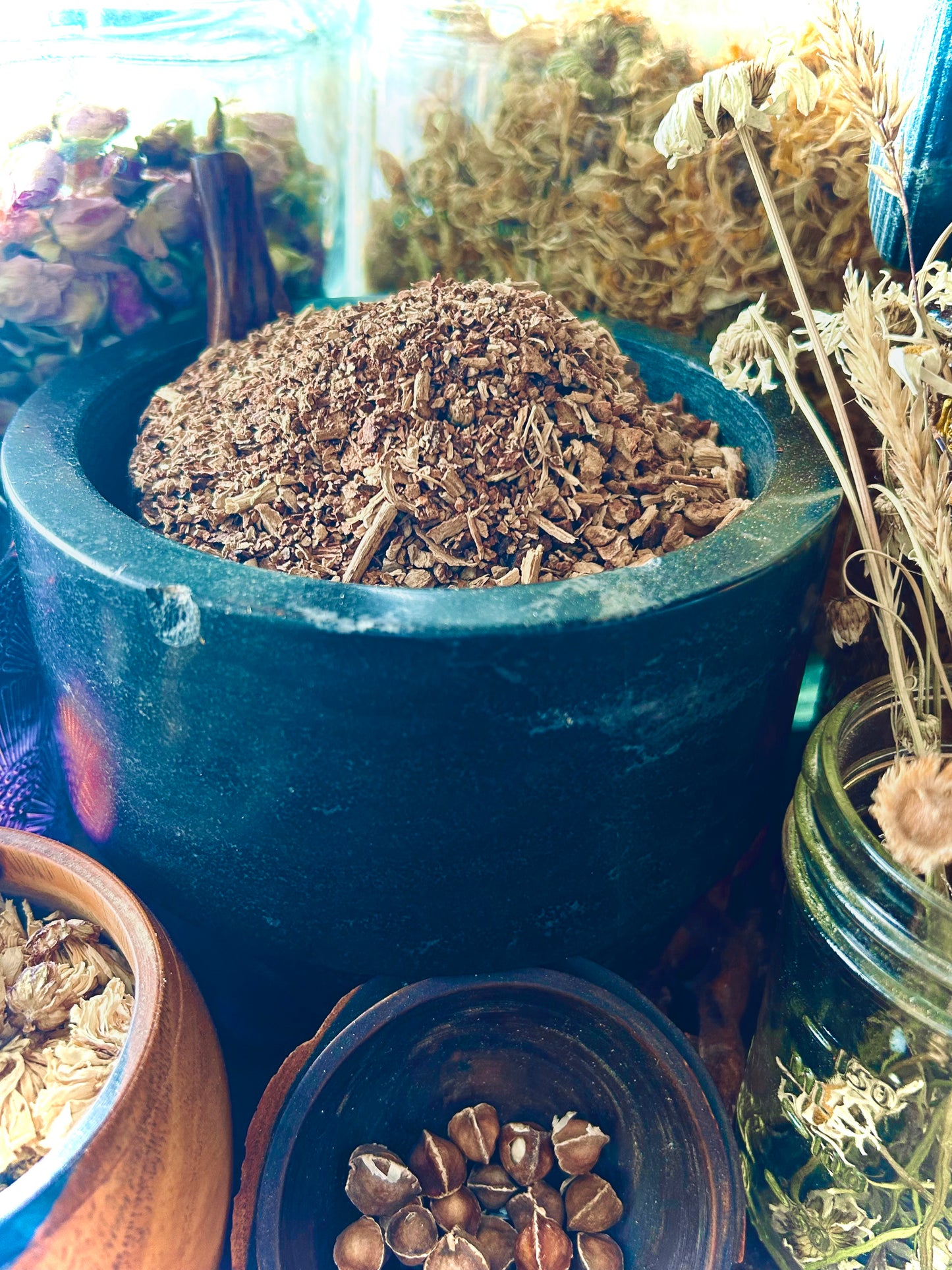 Sarsaparilla Root Organic (Smilax ornata)