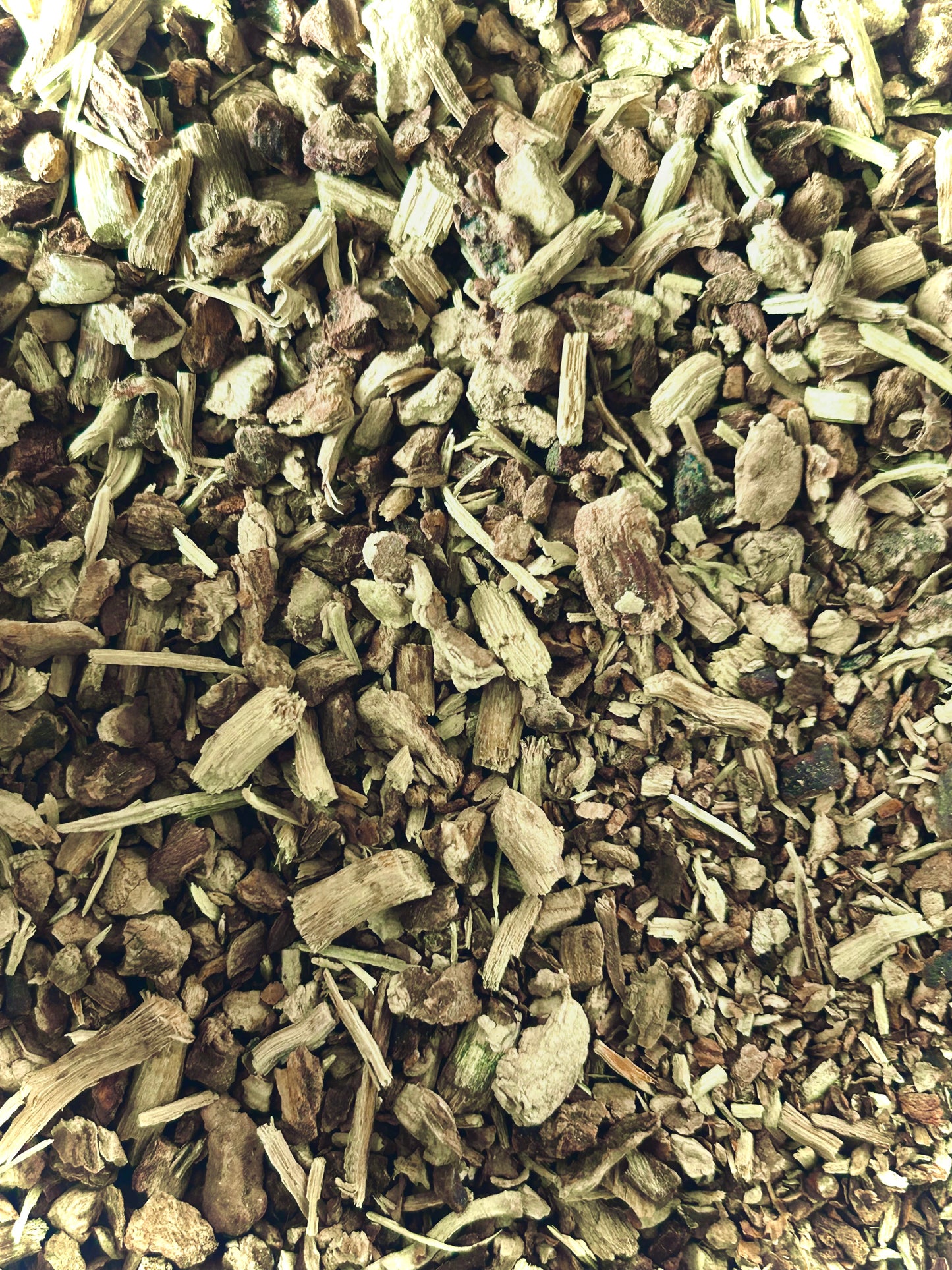 Sarsaparilla Root Organic (Smilax ornata)