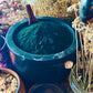 Spirulina Powder Organic (Arthrospira)