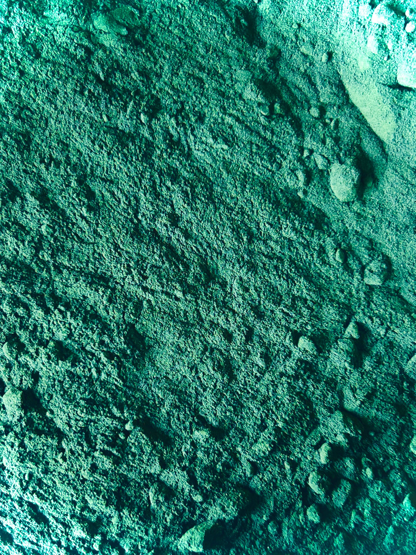 Spirulina Powder Organic (Arthrospira)