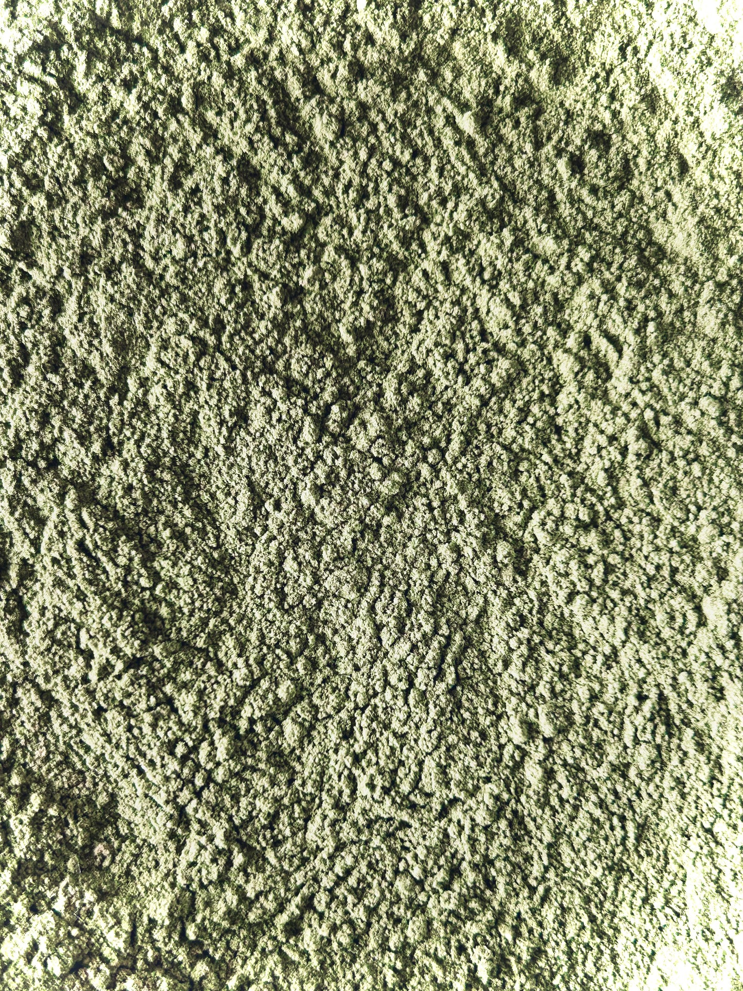 Wheatgrass Powder