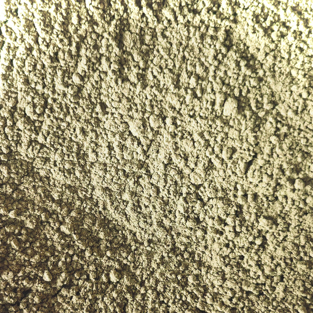 Barley Grass Powder  (Hordeum vulgare)