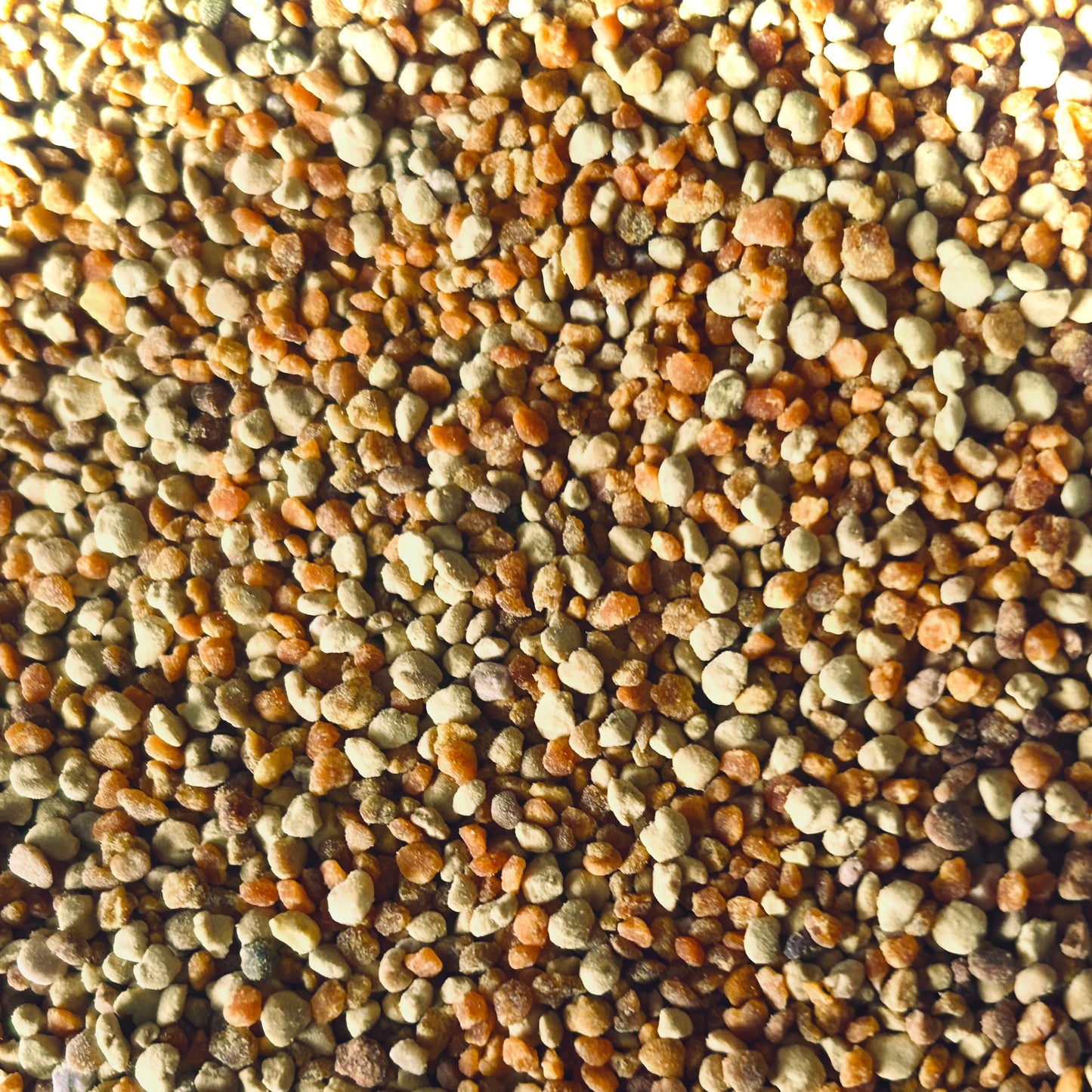 Bee Pollen Granules