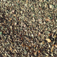 Bladderwrack c/s Organic (Fucus vesiculosus)
