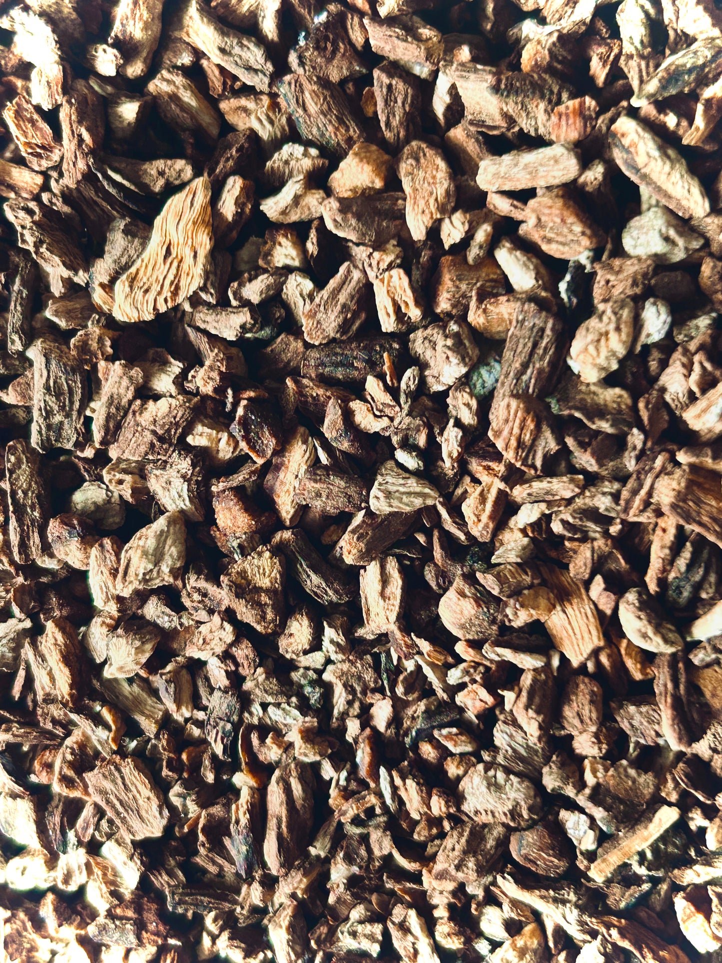 Burdock Root Organic (Arctium lappa)