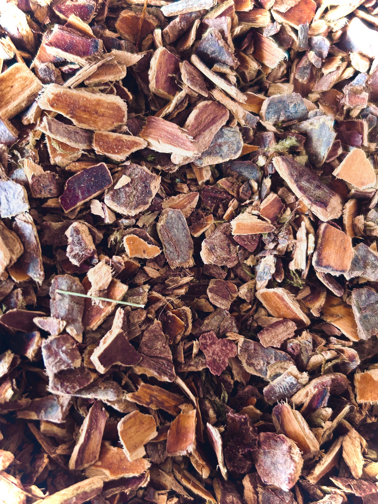 Cascara Sagrada (Rhamnus Purshiana) Bark