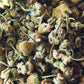 Chamomile Flower Whole  (Chamaemelum nobile)