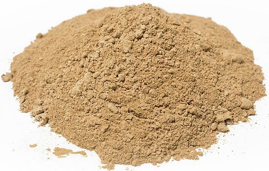 Lions Mane Extract Powder