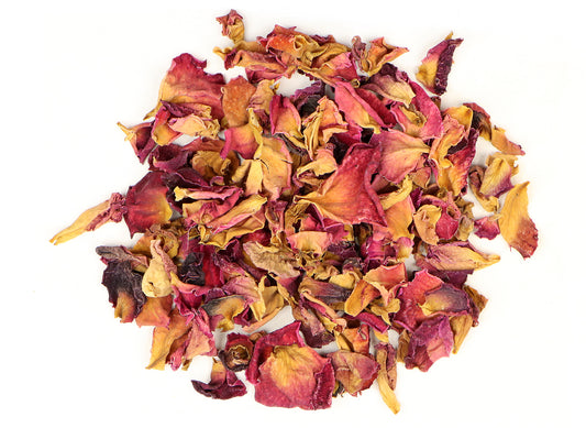 Rosebuds & Petals (Rosa)