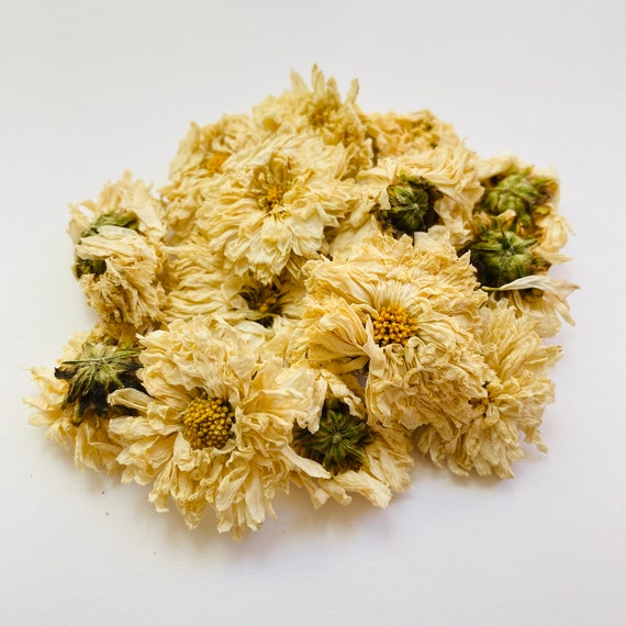 Chrysanthemum Flowers White Organic